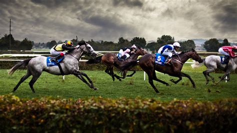 horse racing wallpaper|free horse wallpaper for desktop.